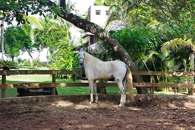 Villa Brisa do Mar - Maravilhosa à beira mar